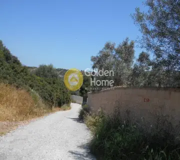 Οικιστικό 620τ.μ. προς πώληση φωτογραφία 8