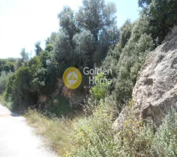 Οικιστικό 620τ.μ. προς πώληση φωτογραφία 1