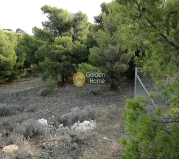 Αγροτεμάχιο 550τ.μ. προς πώληση φωτογραφία 1193944