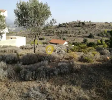 Αγροτεμάχιο 550τ.μ. προς πώληση φωτογραφία 1193945