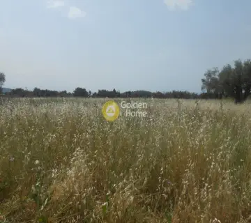 Αγροτεμάχιο 30000τ.μ. προς πώληση φωτογραφία 3