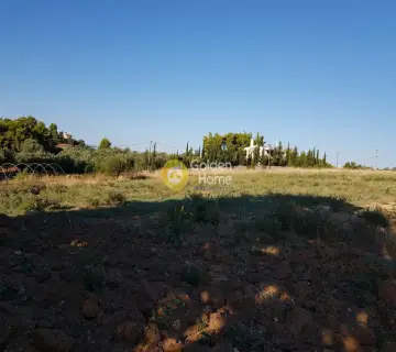 Αγροτεμάχιο 30000τ.μ. προς πώληση φωτογραφία 5