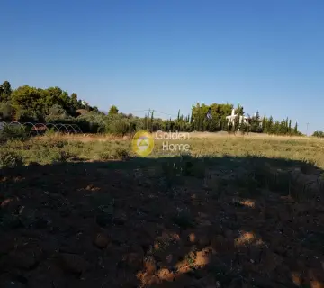 Αγροτεμάχιο 30000τ.μ. προς πώληση φωτογραφία 6