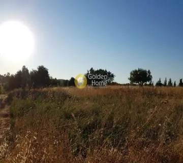 Αγροτεμάχιο 30000τ.μ. προς πώληση φωτογραφία 2