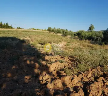 Αγροτεμάχιο 30000τ.μ. προς πώληση φωτογραφία 8