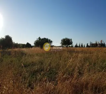 Αγροτεμάχιο 30000τ.μ. προς πώληση φωτογραφία 1