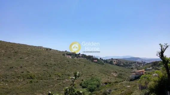 Golden Home Property Image