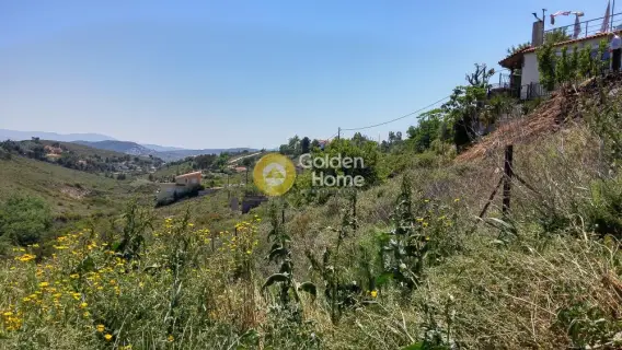 Golden Home Property Image