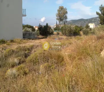 Residential 230m<sup>2</sup> for sale photo 3
