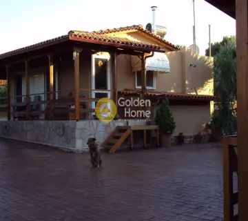 Μονοκατοικία 310τ.μ. προς πώληση φωτογραφία 9