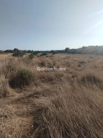 Οικιστικό 3850τ.μ. προς πώληση φωτογραφία 3
