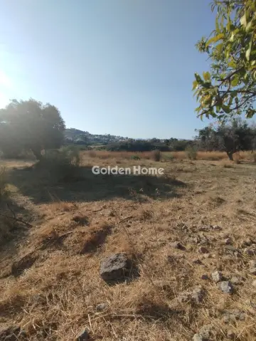 Οικιστικό 3850τ.μ. προς πώληση φωτογραφία 4
