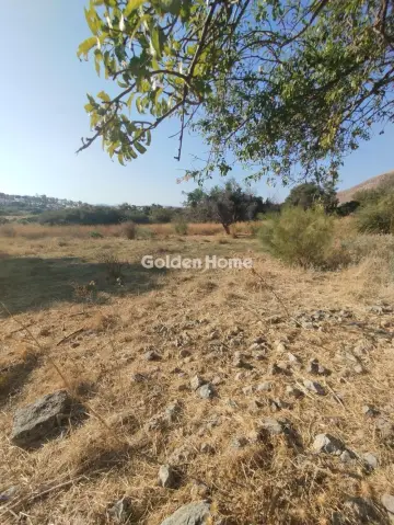 Οικιστικό 3850τ.μ. προς πώληση φωτογραφία 2