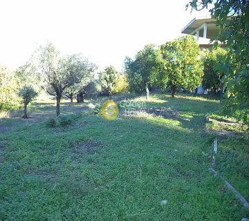 Professional Plot 4527m<sup>2</sup> for sale photo 1207350
