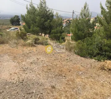Οικιστικό 502τ.μ. προς πώληση φωτογραφία 1214094