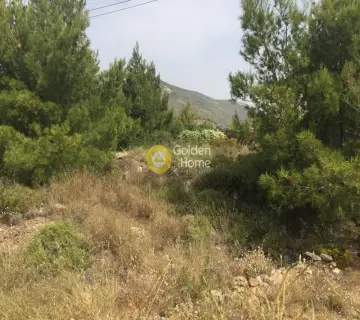 Οικιστικό 502τ.μ. προς πώληση φωτογραφία 1214097
