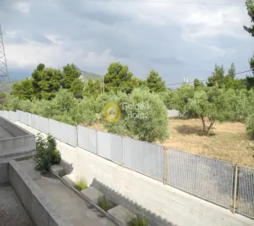 Μονοκατοικία 400τ.μ. προς πώληση φωτογραφία 20