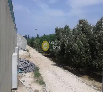 Golden Home Property Image