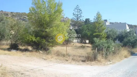 Residential 437m<sup>2</sup> for sale photo 6