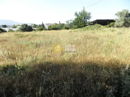 Οικιστικό 2850τ.μ. προς πώληση φωτογραφία 3