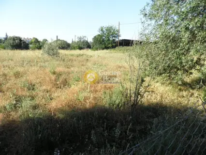 Οικιστικό 2850τ.μ. προς πώληση φωτογραφία 4
