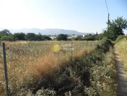 Οικιστικό 2850τ.μ. προς πώληση φωτογραφία 5