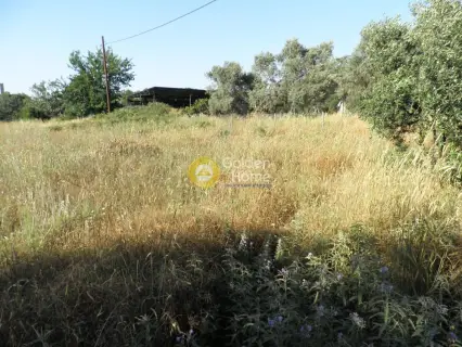Οικιστικό 2850τ.μ. προς πώληση φωτογραφία 7
