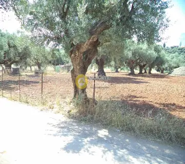 Parcel 2000m<sup>2</sup> for sale photo 1227622