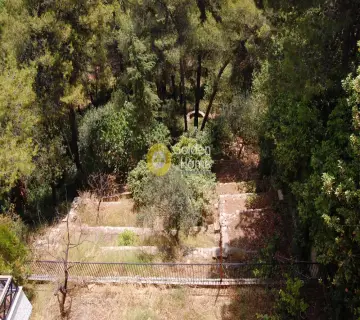 House 282m<sup>2</sup> for sale photo 2