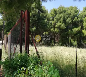 Residential 2095m<sup>2</sup> for sale photo 1