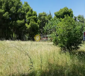 Residential 2095m<sup>2</sup> for sale photo 2