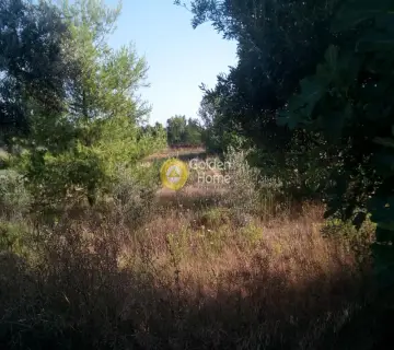 Οικιστικό 1027τ.μ. προς πώληση φωτογραφία 1268863