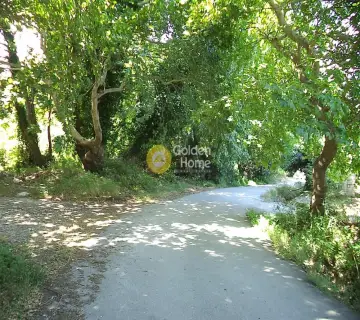 Residential 1300m<sup>2</sup> for sale photo 1239930