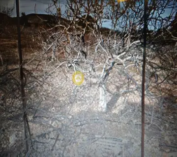 Residential 4100m<sup>2</sup> for sale photo 6