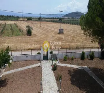 Golden Home Property Image