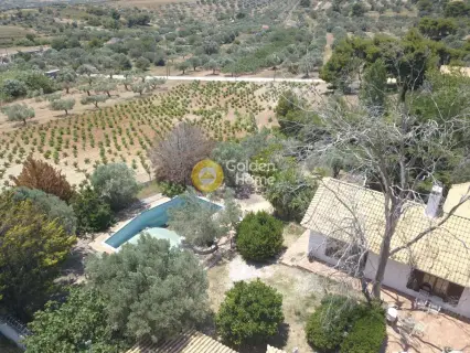 Golden Home Property Image