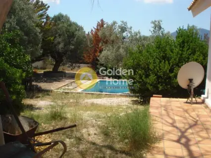 Golden Home Property Image