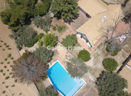 Golden Home Property Image