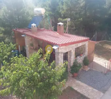 Μονοκατοικία 324τ.μ. προς πώληση φωτογραφία 4