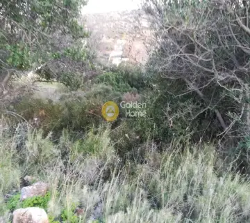 Residential 4500m<sup>2</sup> for sale photo 1957889