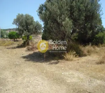 Residential 2000m<sup>2</sup> for rent photo 1270482