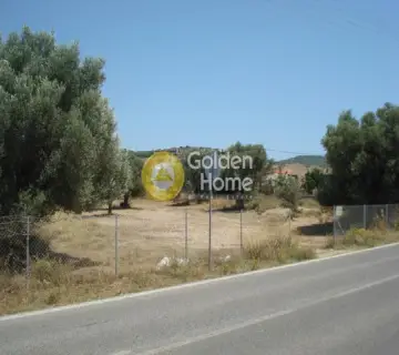 Residential 2000m<sup>2</sup> for rent photo 1270482
