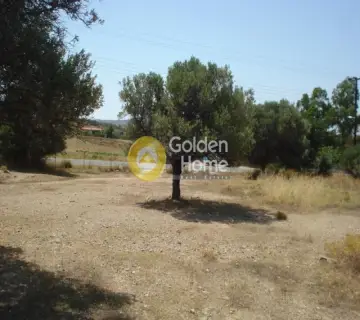 Residential 2000m<sup>2</sup> for rent photo 1270484