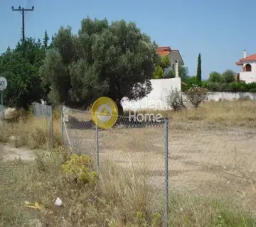 Residential 2000m<sup>2</sup> for rent photo 1270486