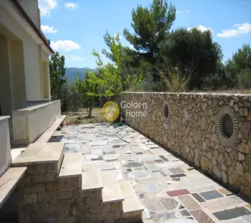 Residential 8100m<sup>2</sup> for sale photo 1280713