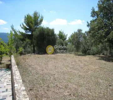 Residential 8100m<sup>2</sup> for sale photo 1280715
