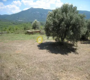 Residential 8100m<sup>2</sup> for sale photo 1280719
