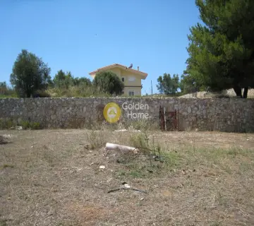 Residential 8100m<sup>2</sup> for sale photo 1280727