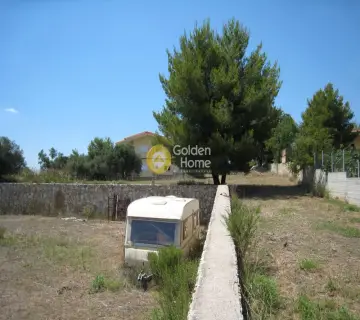 Residential 8100m<sup>2</sup> for sale photo 1280729