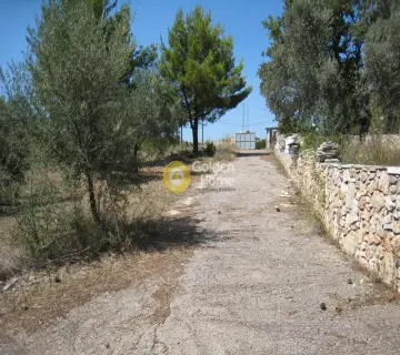 Residential 8100m<sup>2</sup> for sale photo 1280777